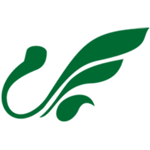 W5