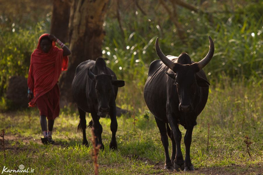 maasai_tribe www.karnaval.ir20