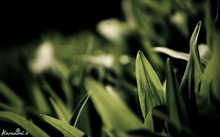 آموزش اصول اولیه عکاسی