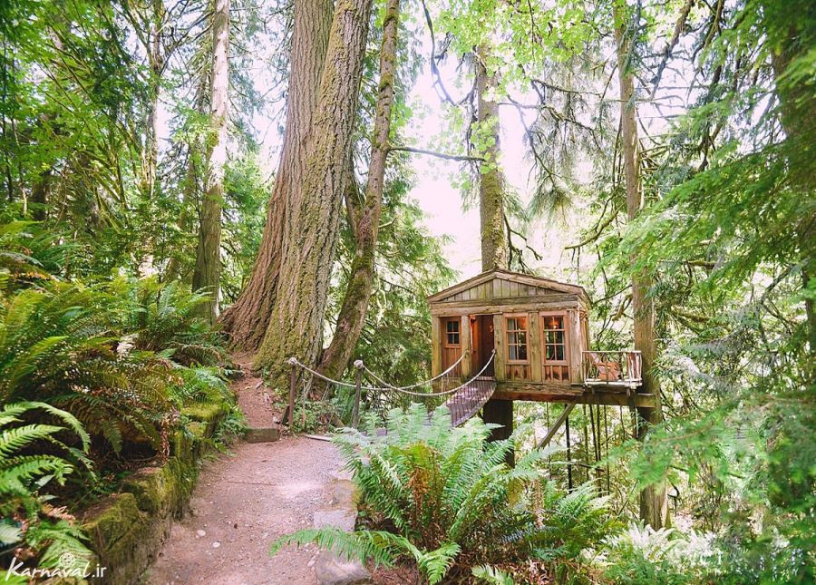 اقامتگاه خانه های درختی ، آرامشی از جنس طبیعت