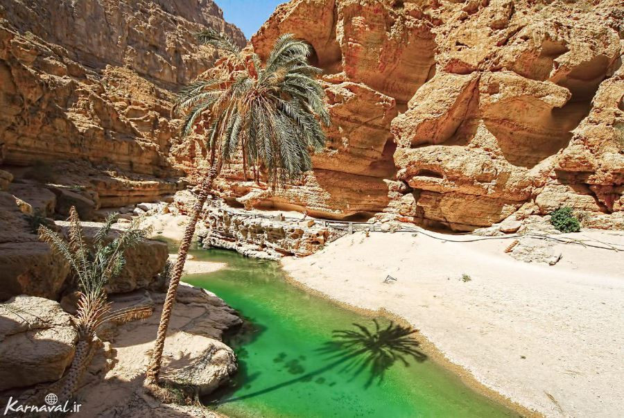 بهار لارنس