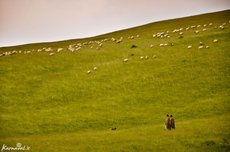 رومانی