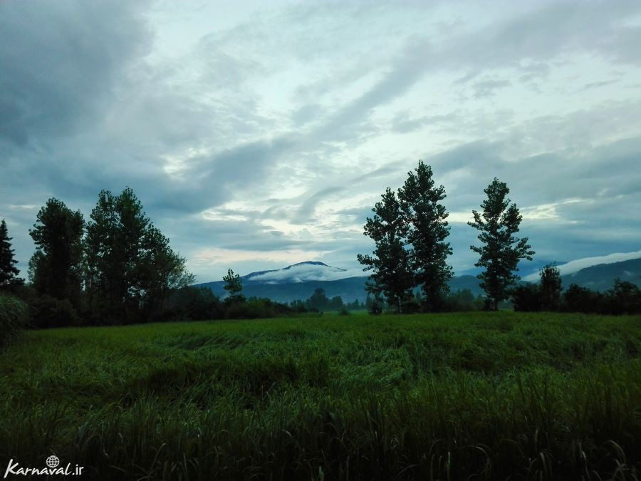 شیرگاه