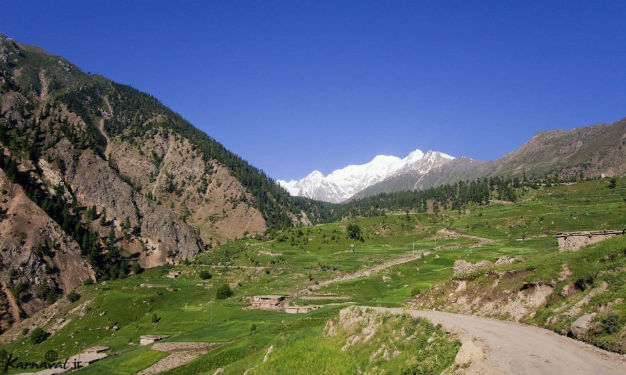 Naltar Valley