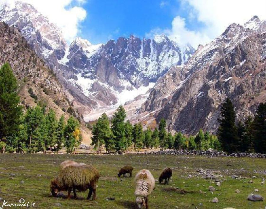 Naltar Valley