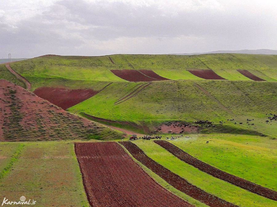 عوامل تاثیرگذار بر الگوهای رفتاری ایرانیان