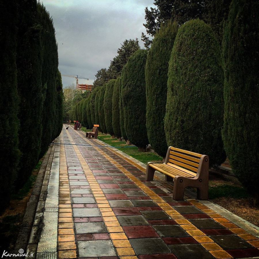 پارک ساعی تهران