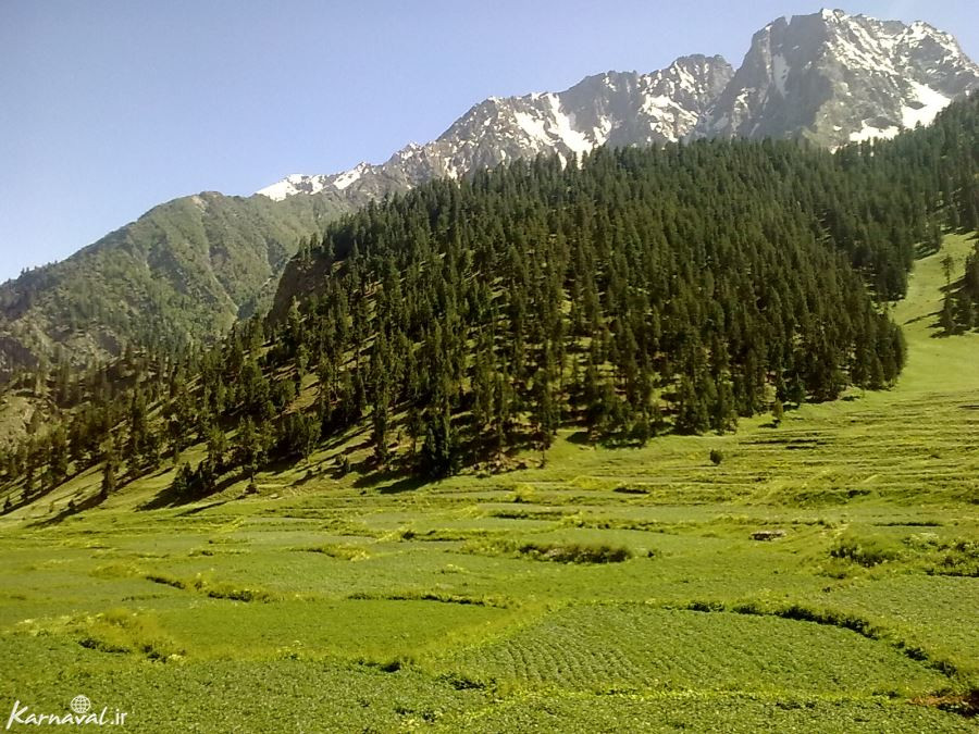 نالتار پاکستان