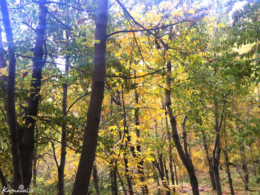 روستای آهار