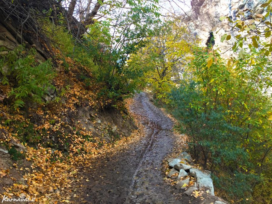 دیدنی های آهار