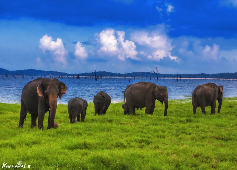 تصاویری از زیبایی های سریلانکا
