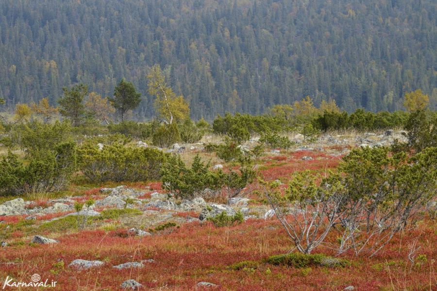 طبیعت زیبای فنلاند