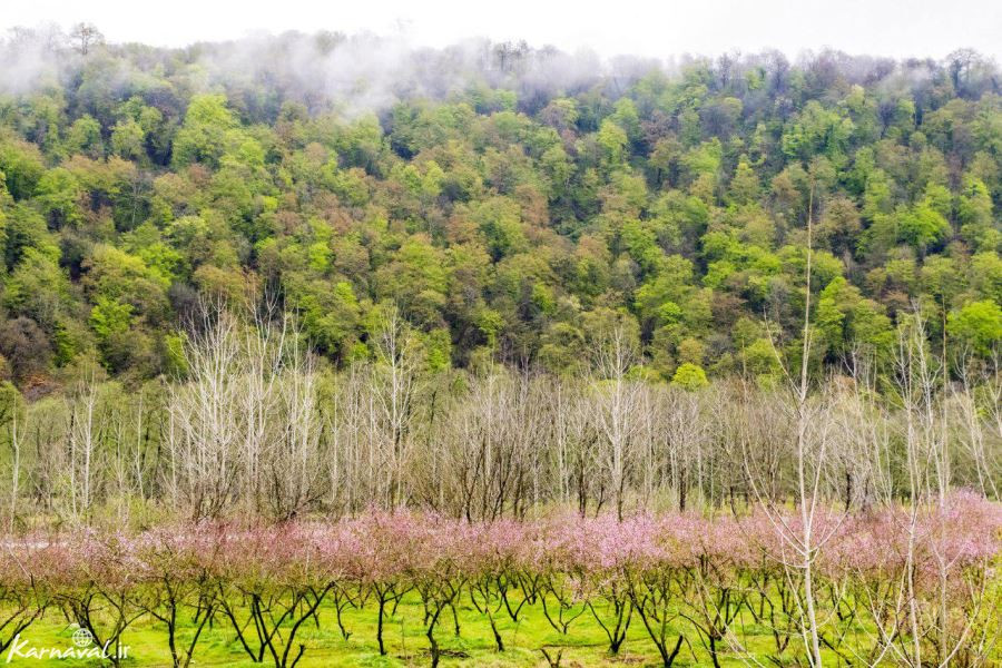 طبیعت ایران