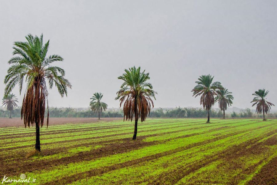 طبیعت ایران