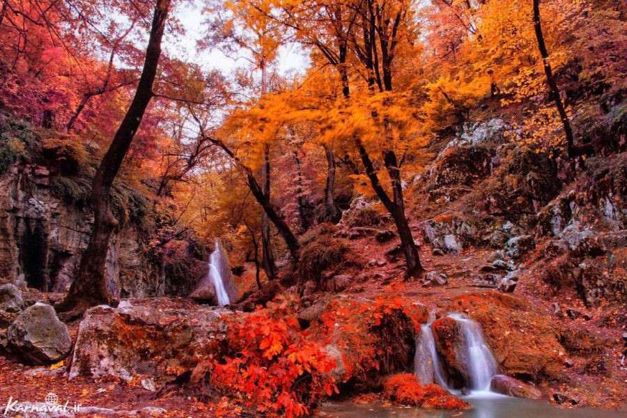جنگل گلستان