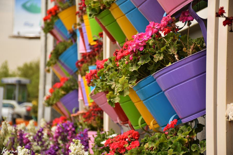 تصاویر بهاری از طبیعت ایران
