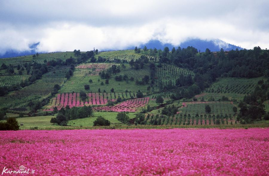 طبیعت مکزیک