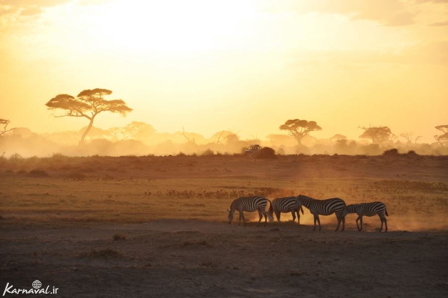 عکس خفن عکس با طلوع افتاب
