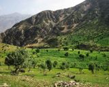 دره عشق دره عشق