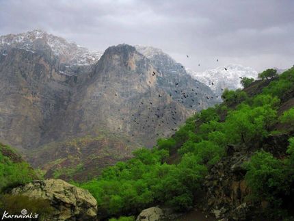 دره عشق | Photo by : Arash Izadfar