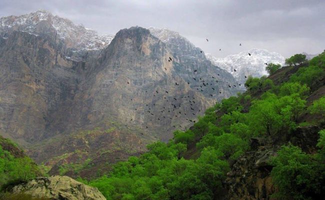 دره عشق دره عشق