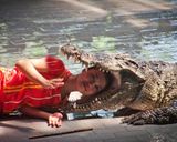 کروکودیل های مزرعه میلیون یرز استون کروکودیل های مزرعه میلیون یرز استون