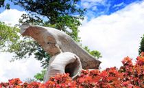 سنگ های چندین میلیون ساله تایلند سنگ های چندین میلیون ساله تایلند