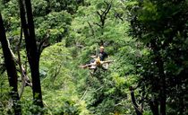 زیپ لاین فلایینگ هانومان پوکت زیپ لاین فلایینگ هانومان پوکت