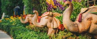 گاردنز بای د بی گاردنز بای د بی