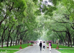 پارک ها و بوستان های پکن پارک ها و بوستان های پکن