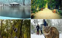 بوستان قیطریه بوستان قیطریه