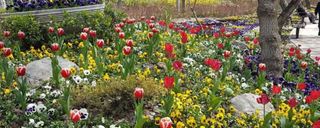 پارک قیطریه تهران پارک قیطریه تهران