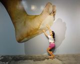 آشنایی موزه تریک آی پوکت آشنایی موزه تریک آی پوکت