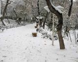 پارک قیطریه تهران پارک قیطریه تهران