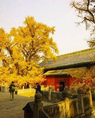 محوطه معبد داجو محوطه معبد داجو