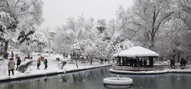 طبیعت برفی پارک قیطریه تهران