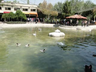 باغ پرندگان اصفهان پرندگان برکه باغ پرندگان اصفهان | Photo by : Unknown