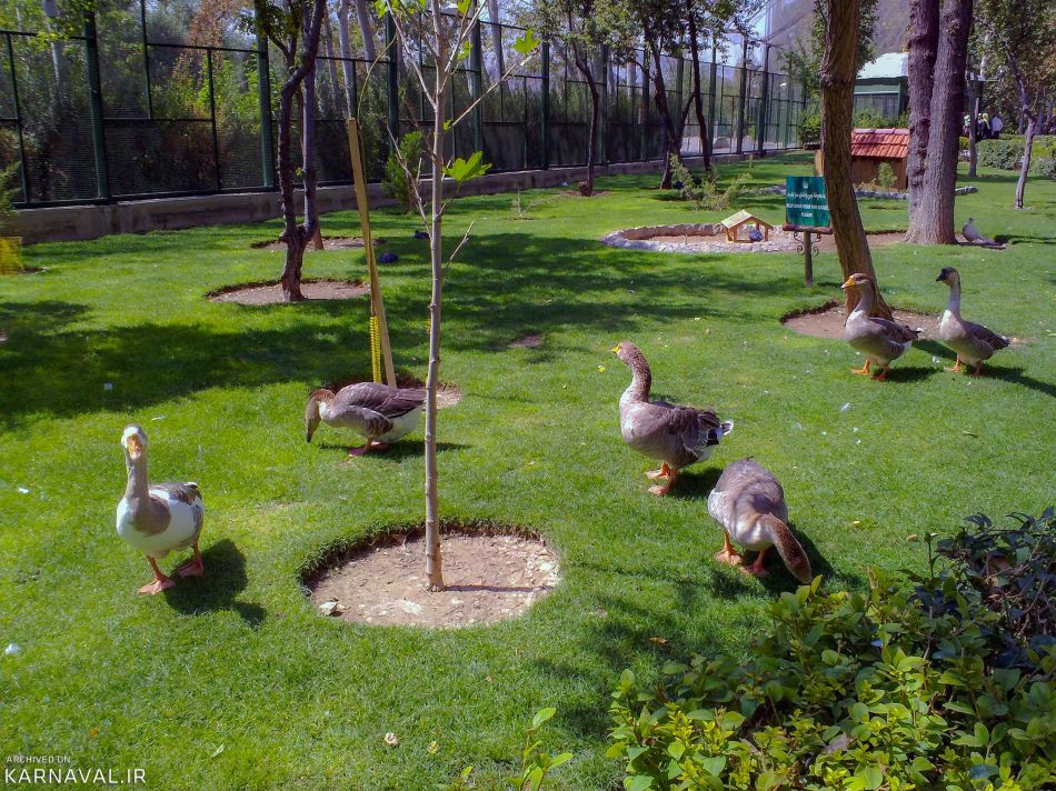 باغ پرندگان اصفهان | Photo by : Unknown