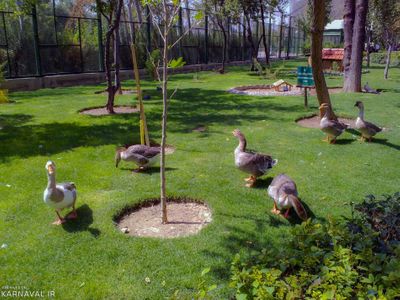 عکس باغ پرنده گان اصفهان