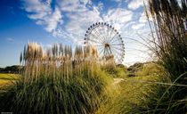 پارک هیتاچی پارک هیتاچی