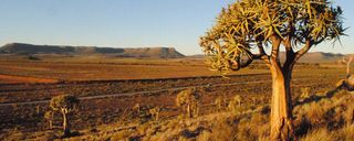 باغ گیاهشناسی ملی کارو باغ گیاهشناسی ملی کارو