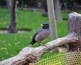 باغ پرندگان اصفهان باغ پرندگان اصفهان