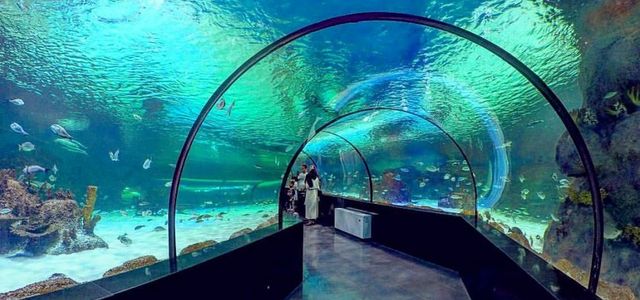 باغ پرندگان اصفهان آکواریوم اصفهان | Photo by : Unknown