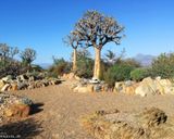 باغ گیاهشناسی ملی کارو باغ گیاهشناسی ملی کارو