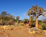 باغ گیاهشناسی ملی کارو باغ گیاهشناسی ملی کارو