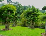 باغ گیاه شناسی پردانا باغ گیاه شناسی پردانا