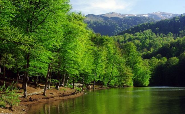 پارک ملی دیلیجان ارمنستان پارک ملی دیلیجان ارمنستان