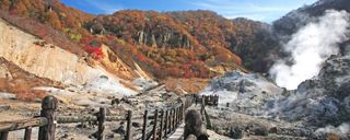 پارک میمون جیگکودانی پارک میمون جیگکودانی