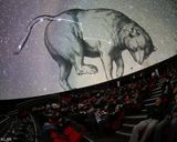 سالن نمایش گنبد مینا سالن نمایش گنبد مینا