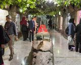 باغ خزندگان اصفهان باغ خزندگان اصفهان